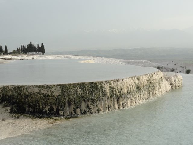 DSC04350