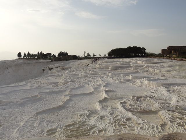 DSC04356