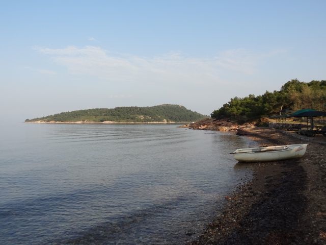 DSC04451