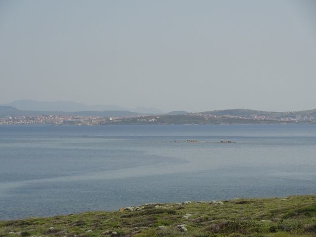 DSC04461