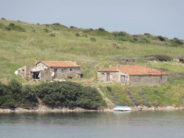DSC04463