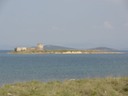 DSC04471