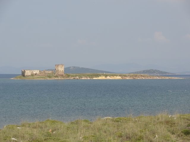DSC04471