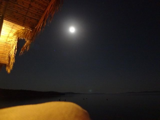 DSC04481