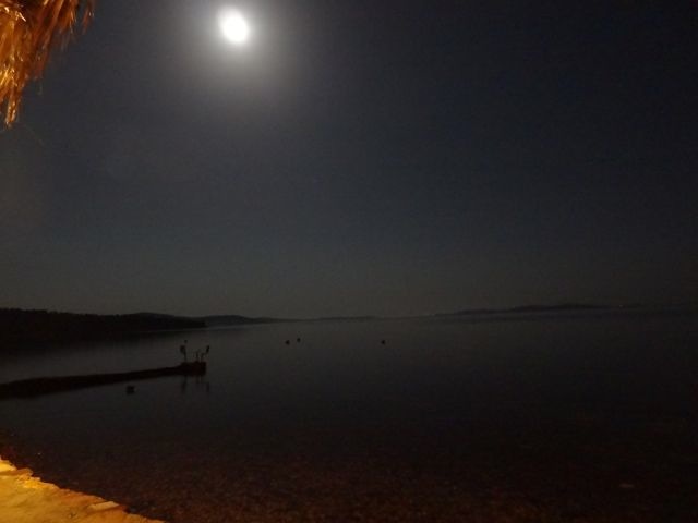 DSC04482