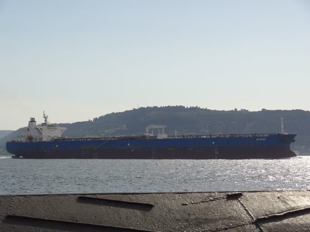 DSC04504