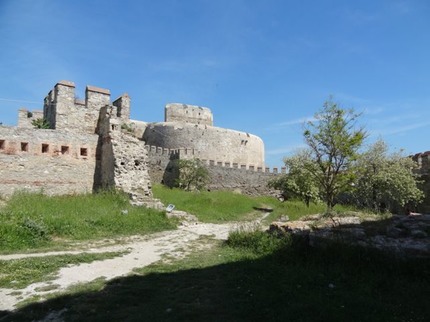 DSC04512