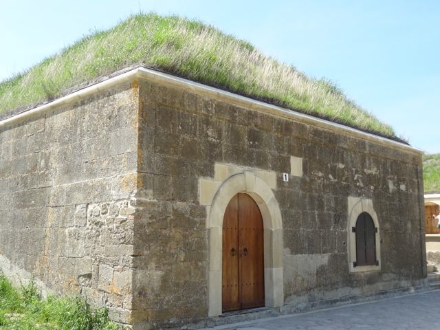 DSC04525