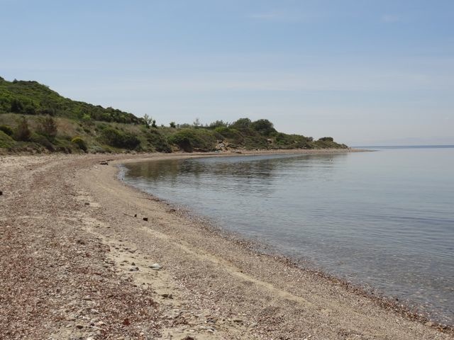 DSC04592