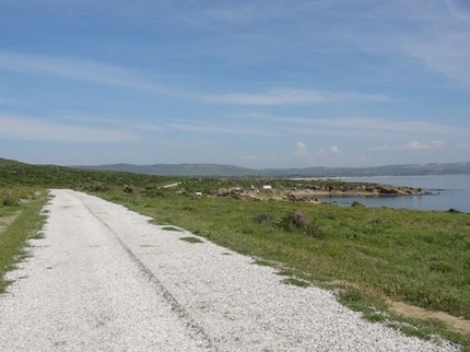 DSC04631
