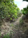 DSC04638