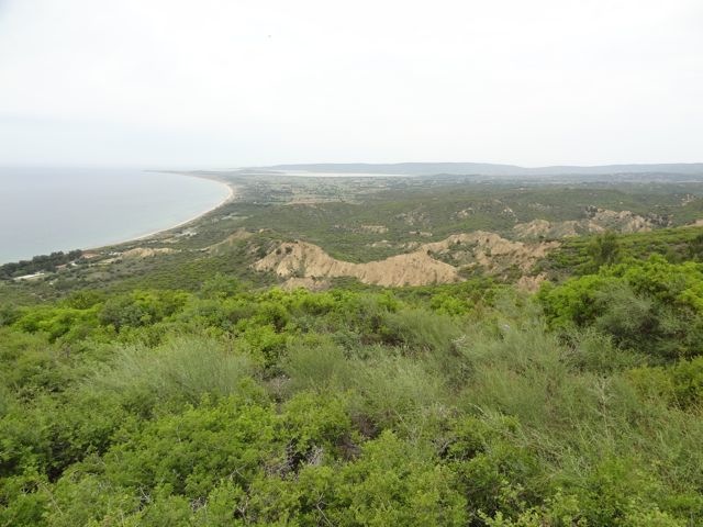DSC04647