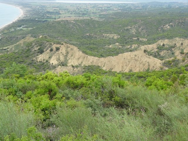 DSC04648
