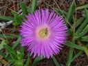 DSC04758