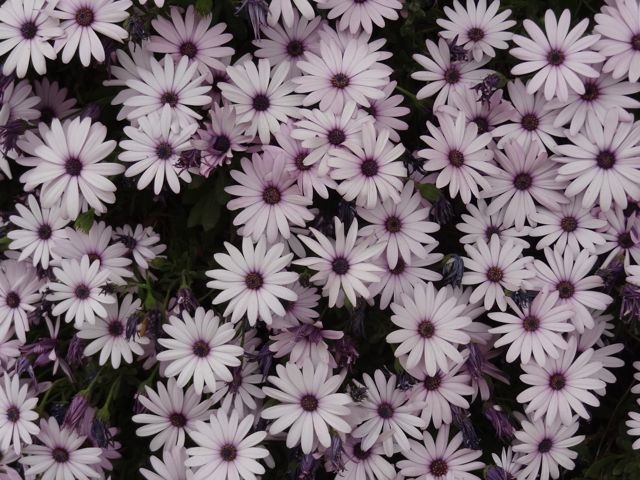DSC04760