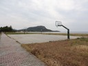 DSC04761