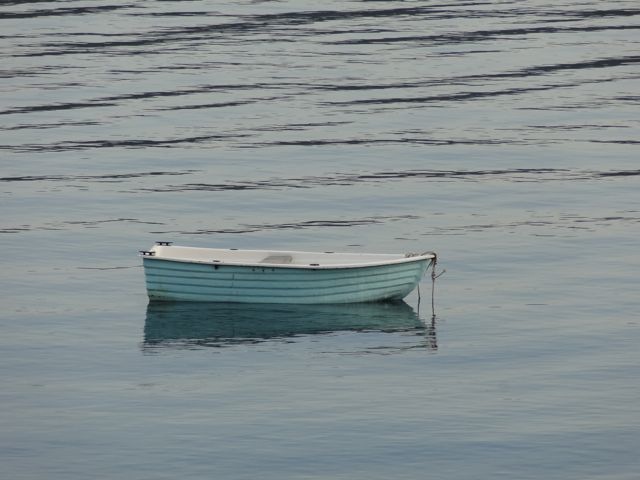 DSC04790