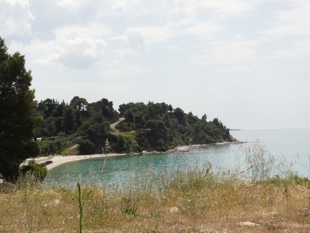 DSC04796
