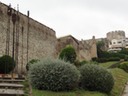 DSC04845