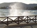 DSC04906