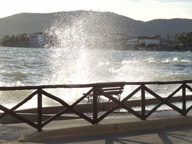 DSC04906