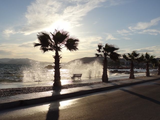 DSC04911