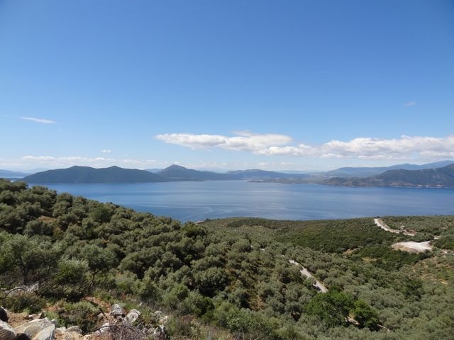 DSC04921