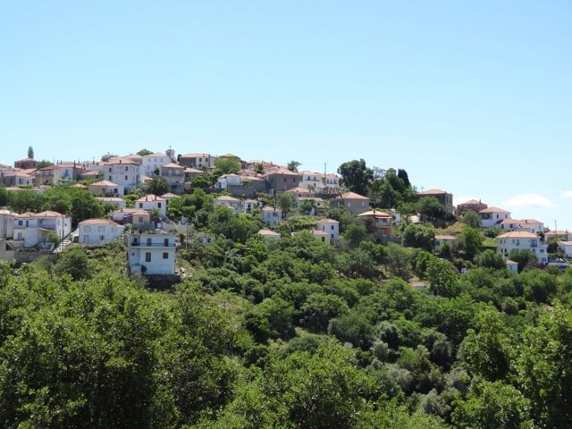 DSC04928