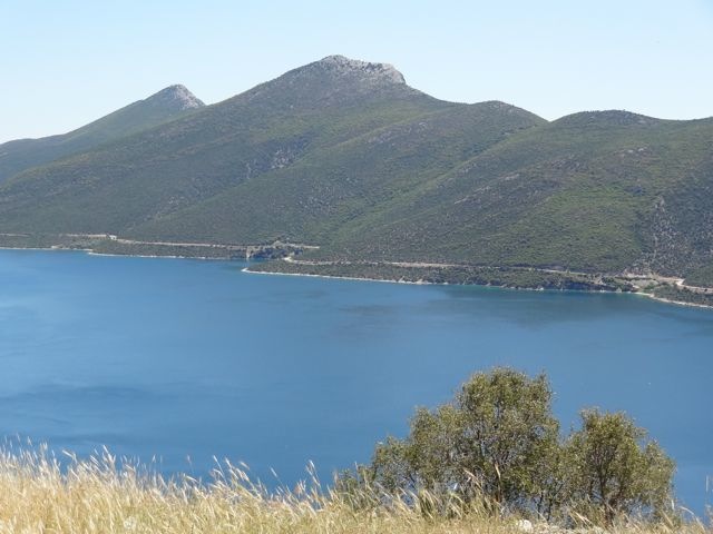 DSC04932