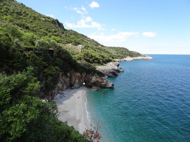 DSC04948