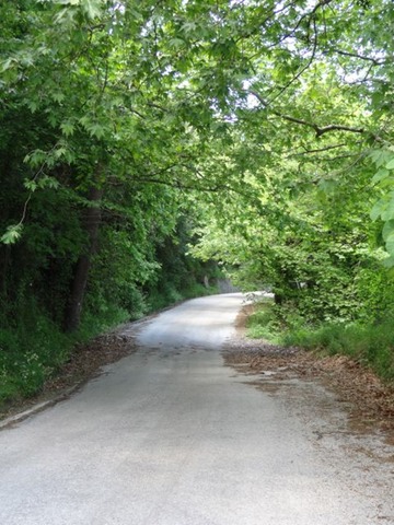 DSC04953