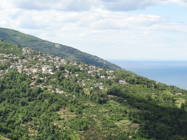 DSC04959