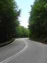 DSC04962