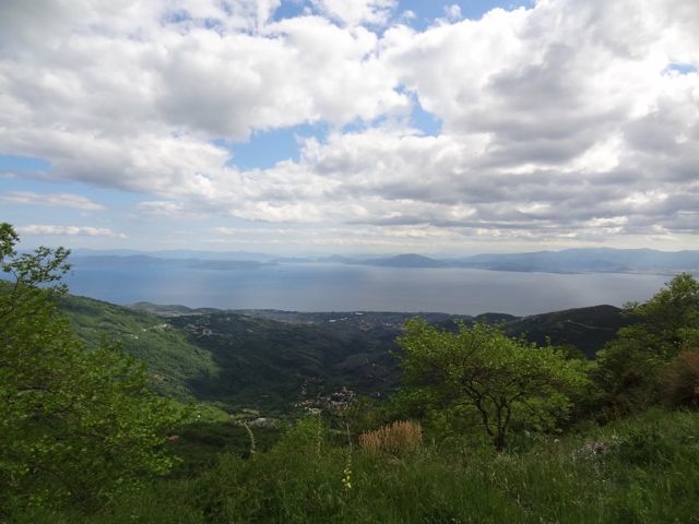 DSC04963
