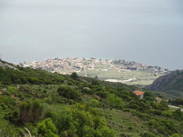 DSC04969