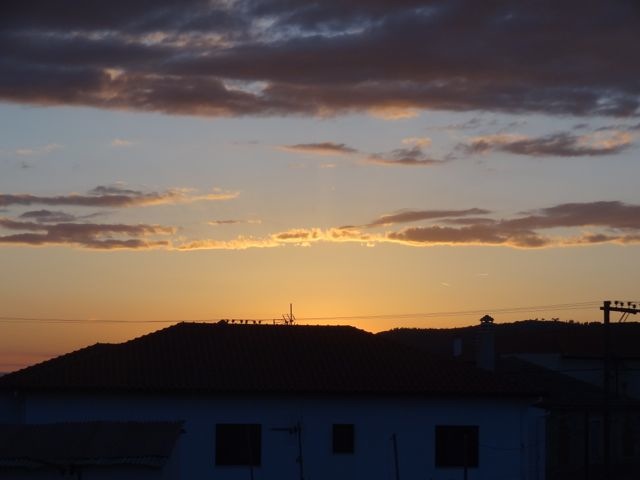 DSC04973