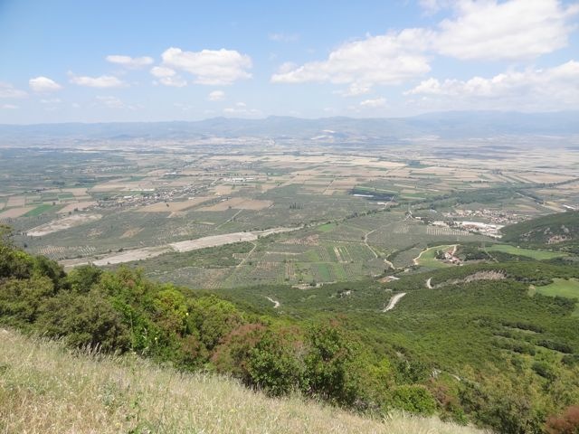 DSC04991
