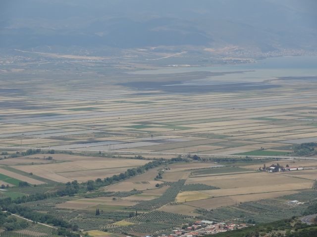 DSC04993
