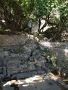 DSC05009