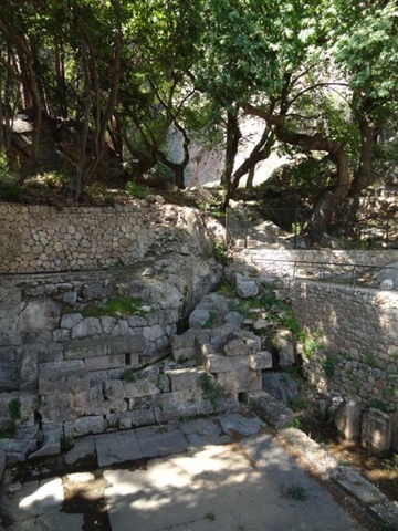 DSC05009