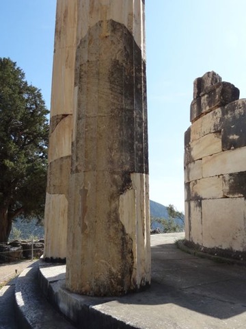 DSC05017