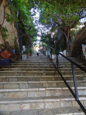 DSC05030
