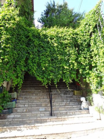 DSC05031