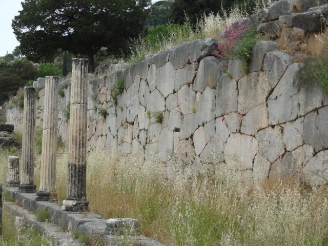 DSC05047