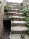 DSC05050