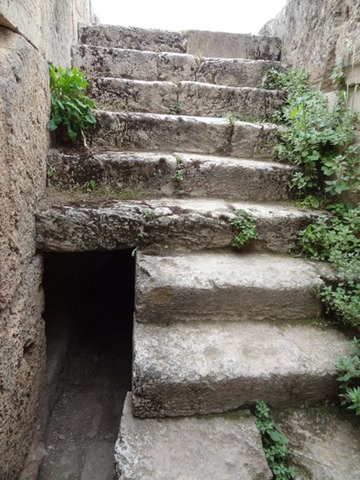 DSC05050