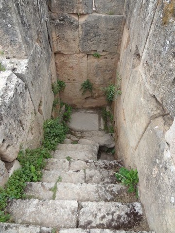 DSC05051