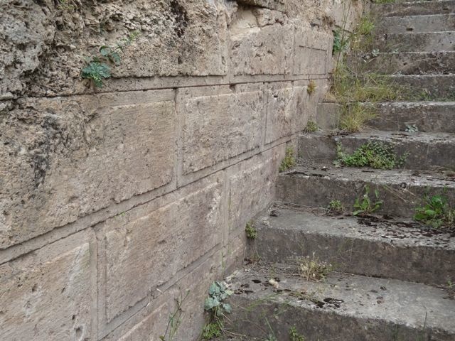 DSC05052