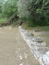 DSC05161