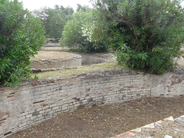 DSC05163